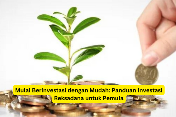 Mulai Berinvestasi dengan Mudah Panduan Investasi Reksadana untuk Pemula