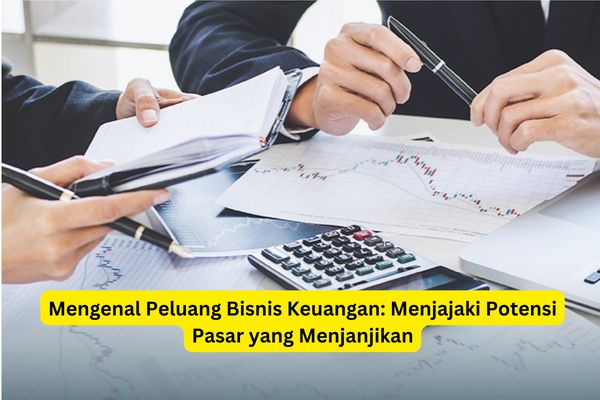 Mengenal Peluang Bisnis Keuangan Menjajaki Potensi Pasar yang Menjanjikan